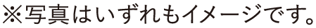 ※写真はいずれもイメージです。